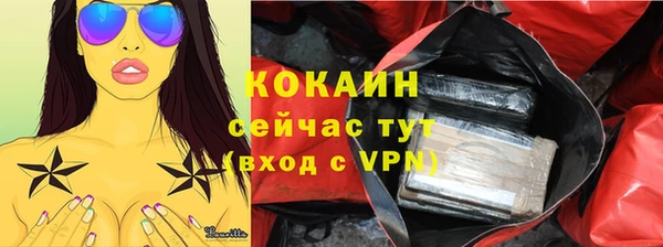 гидра Богородицк