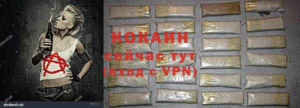 гидра Богородицк