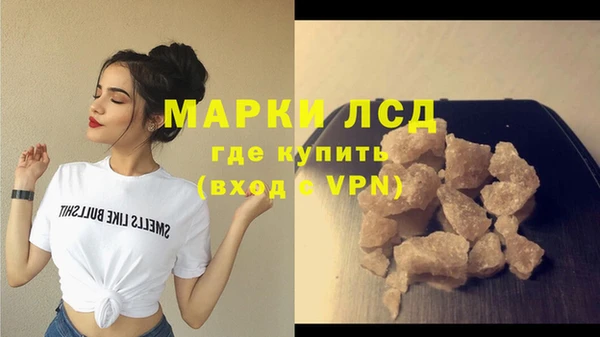 гидра Богородицк