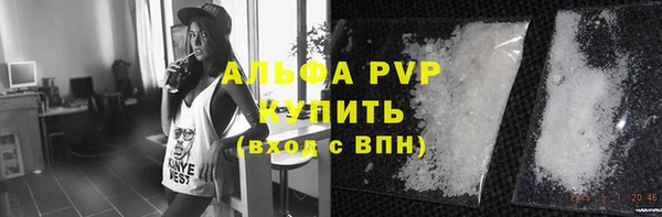 гидра Богородицк