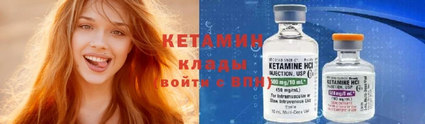 гидра Богородицк