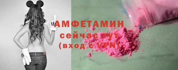 гидра Богородицк