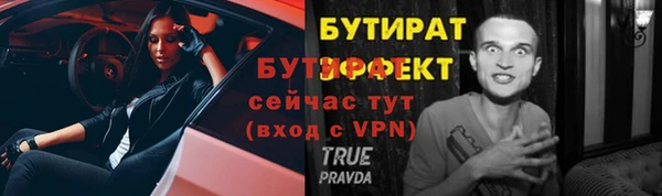 гидра Богородицк