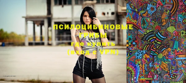 дживик Богданович