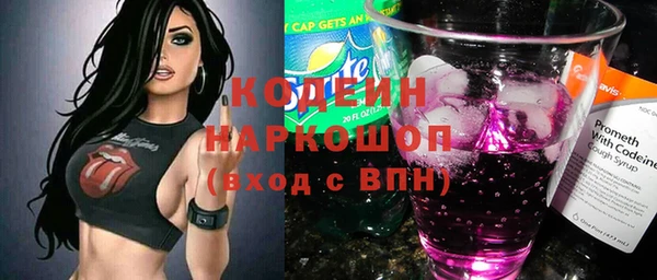 гидра Богородицк