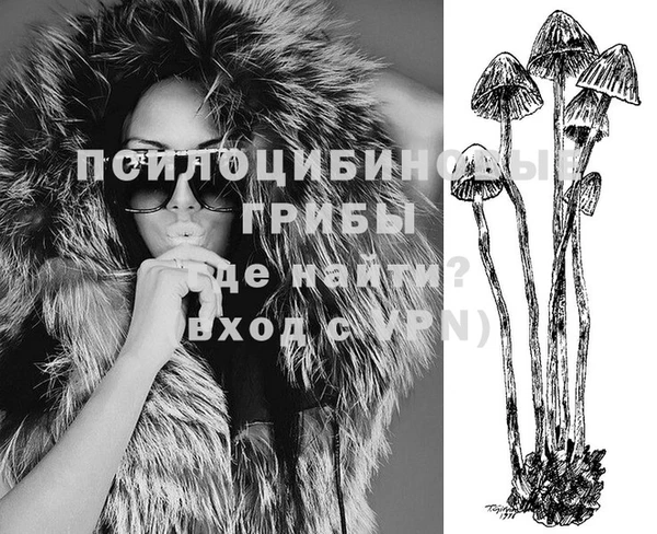 гидра Богородицк