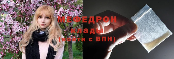гидра Богородицк