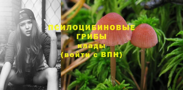 дживик Богданович